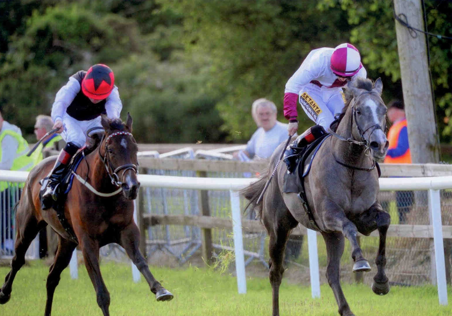 Ice Echo Bellewstown Sat 5th July 2014